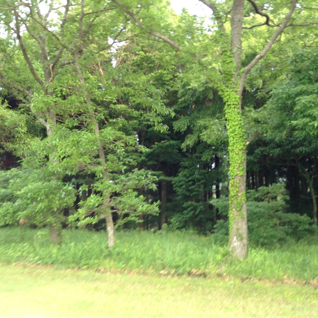 蝶野 秀紀（Chono Hideki）